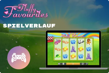 Fluffy Favourites process